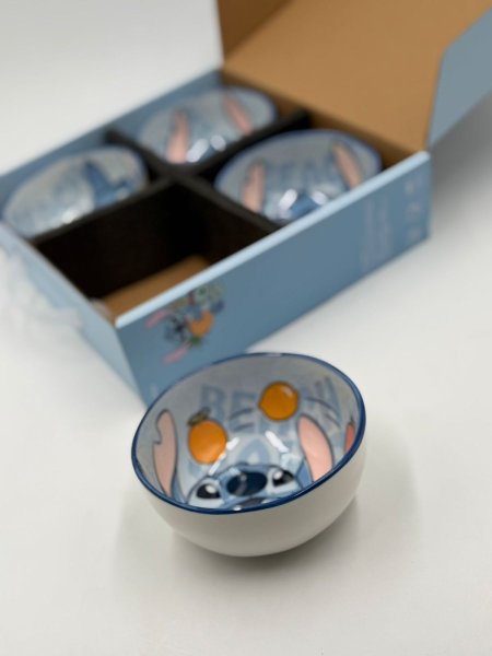 بكج صحون ستتش