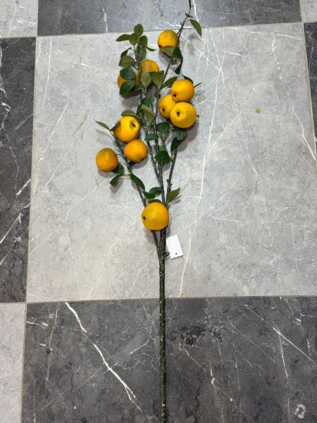 عرق فواكه