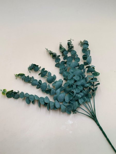 عرق زعتر