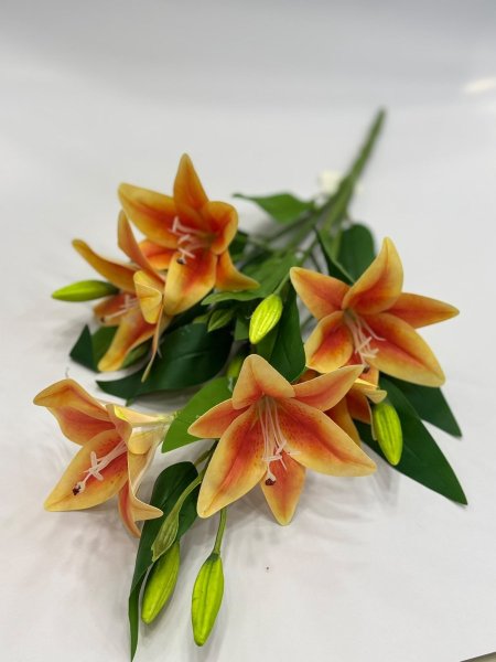 زنبق
