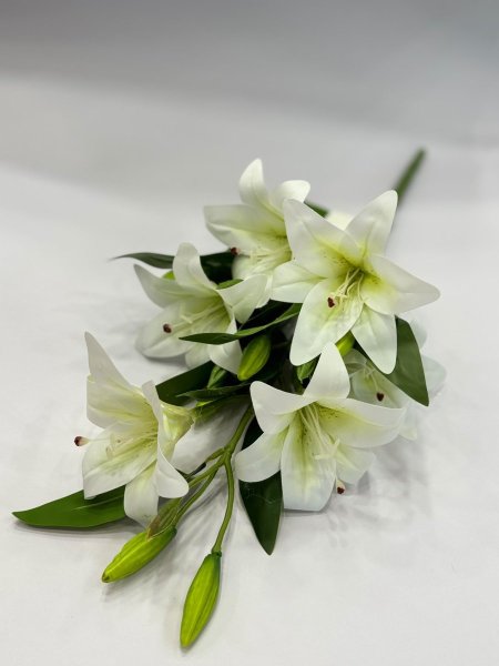 زنبق