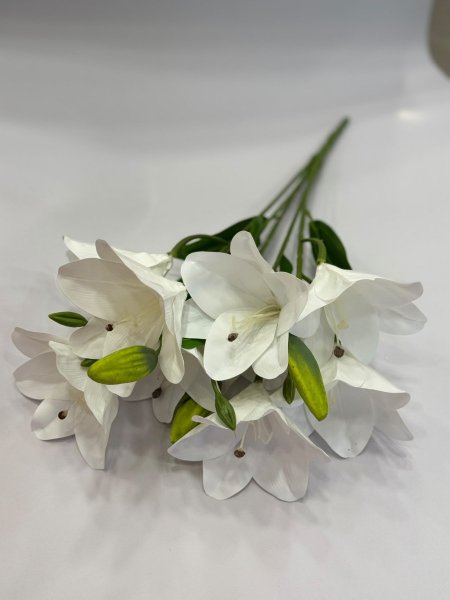 زنبق