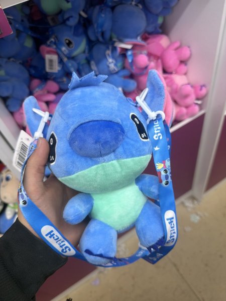 ستتش شنته