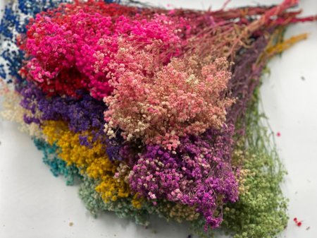 مجفف جبسونيت