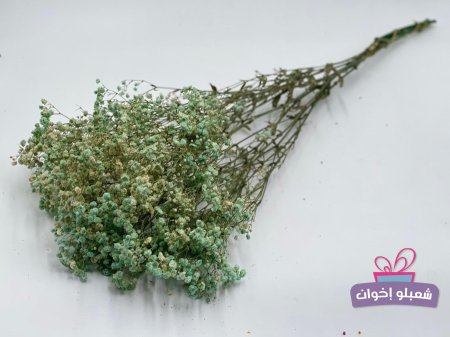 تركواز مع بيج