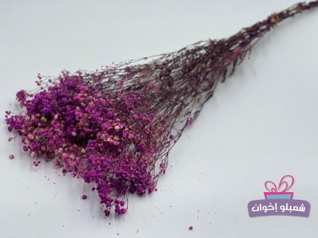 بنفسجي مع بيج