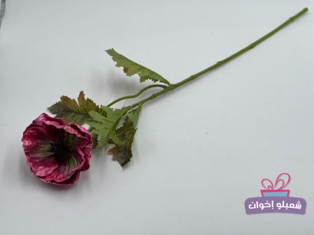 فوشي مع اخضر