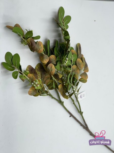 اخضر مع اصفر