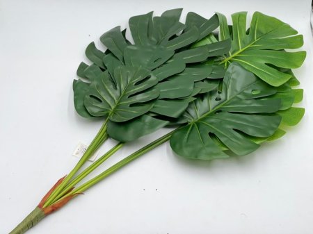 عروق خضار كبيره