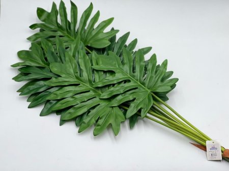 عروق خضار كبيره