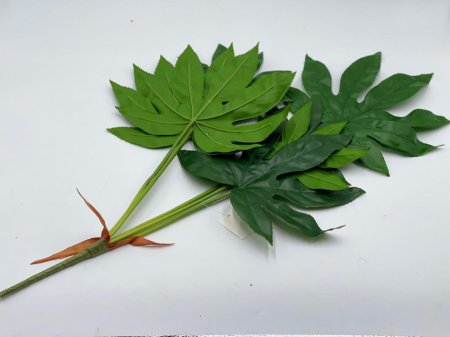 عروق خضار كبيره