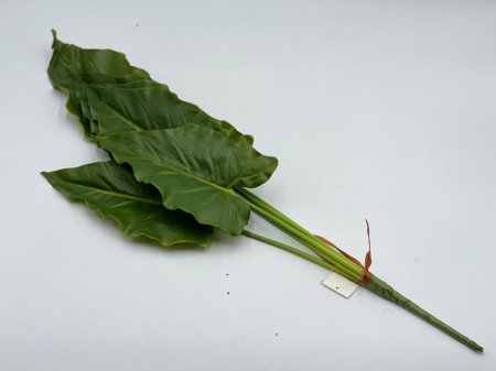 عروق خضار كبيره