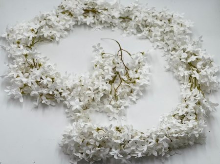 ورد ابيض طويل